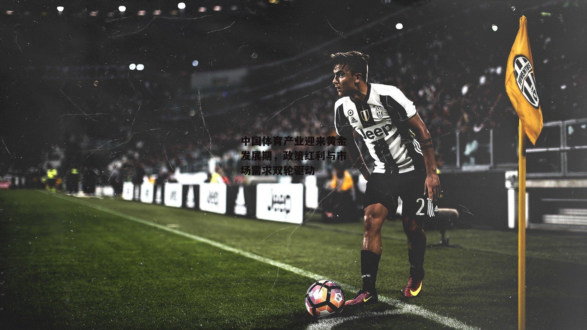 中国体育产业迎来黄金发展期,政策红利与市场需求双轮驱动