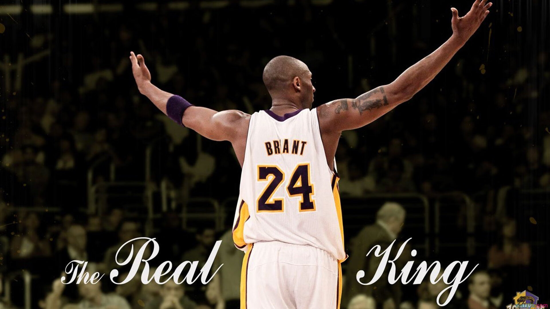 体育教育改革助力青少年全面发展,校园运动热潮再升级