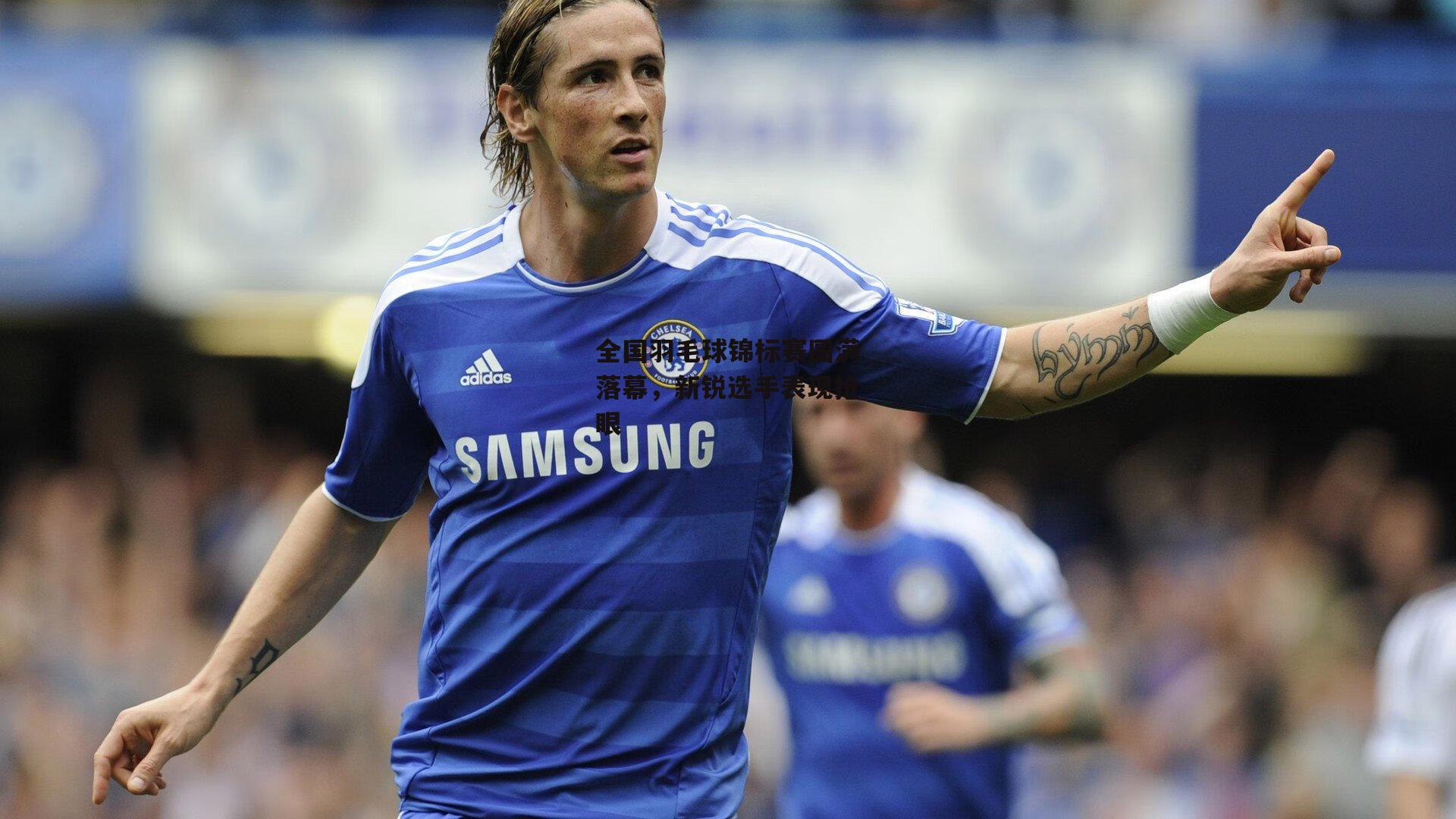 全国羽毛球锦标赛圆满落幕，新锐选手表现抢眼